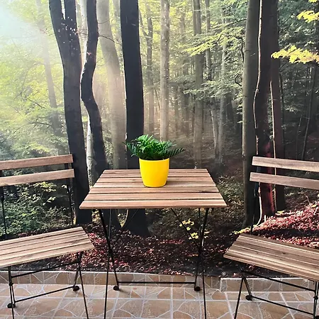 דירה Walk Everywhere - Peaceful, Lovely, 1st Floor, Flat Near Agias Sofia Church סלוניקי